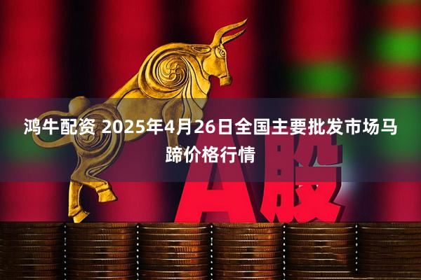 鸿牛配资 2025年4月26日全国主要批发市场马蹄价格行情