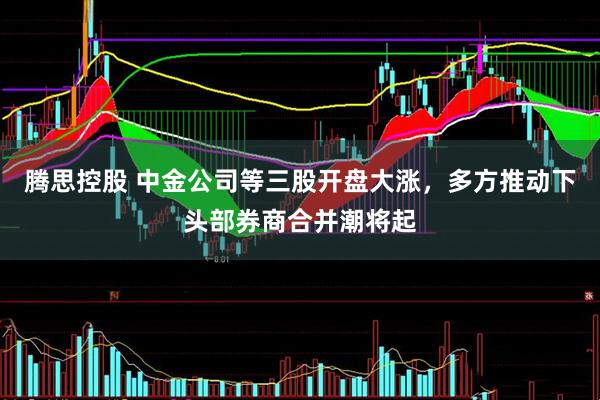 腾思控股 中金公司等三股开盘大涨,多方推动下头部券商合并潮将起